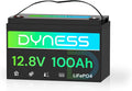 LiFePO4 Panneau solaire et module photovoltaïque, 12V, 100 Ah, pour camping et camping-car, avec BMS, 100A