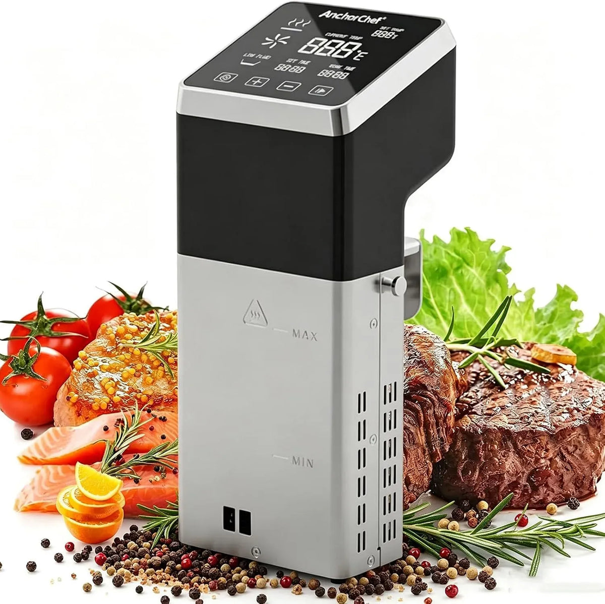 Cuiseur, Cooker, appareil de cuisson sous vide, 1600 W, tactile, minuteur, écran LCD, fonction chauffante